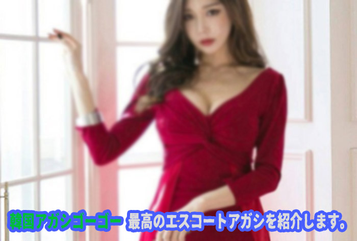 エスコートアガシ 韓国アガシのご利用流れ