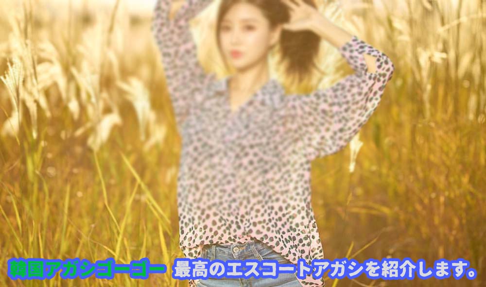 エスコートアガシの韓国アガシ