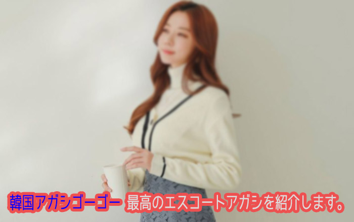 エスコートアガシ 韓国 ソウル アガシ と言う韓国大人気の夜遊び